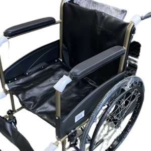 W/Chair Standard w H/Break 809EJ 14kg (Gold) x Each